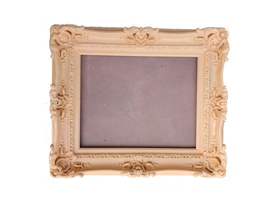 16x20 Peach Picture Frame, Fancy Ornate Original Photo Frame